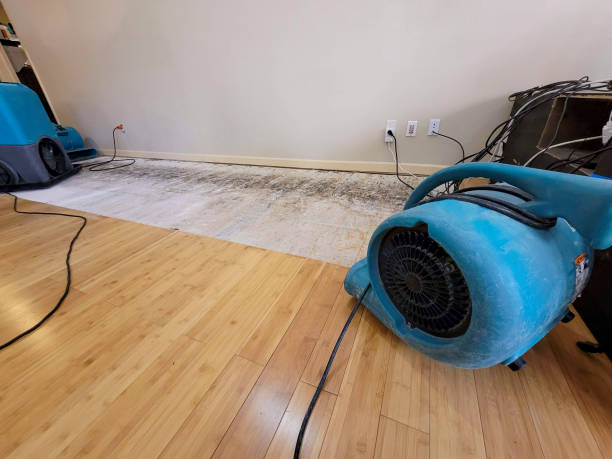 Professional Basement Flood Cleanup technician working in Westwood, KS